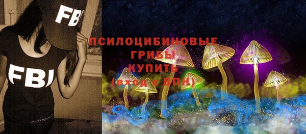 прущая мука Верея