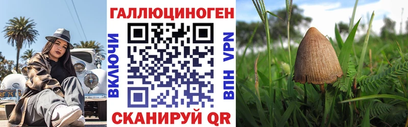 Галлюциногенные грибы прущие грибы  Вичуга 